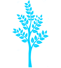 Sähköajon osuus